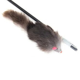 ريشة شكل فار